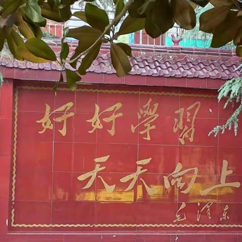 “师生齐上阵，明日花似锦 ”  ——长葛市和尚桥镇杜村寺小学劳动教育掠影