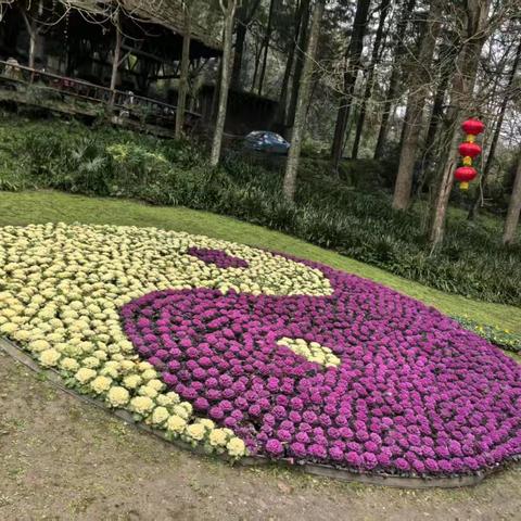 打卡青城山