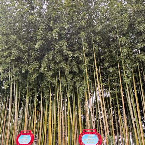 六三班主题班会 ‍《告别陋习 走向文明》