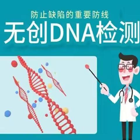 无创DNA的检测孕周