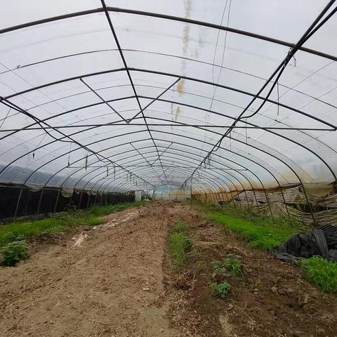 宣城市广乐体育文化传播有限公司