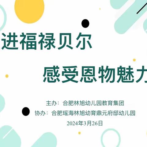 走进福禄贝尔   感受恩物魅力——合肥瑶海林旭幼育鼎元府邸幼儿园福禄贝尔恩物专项培训