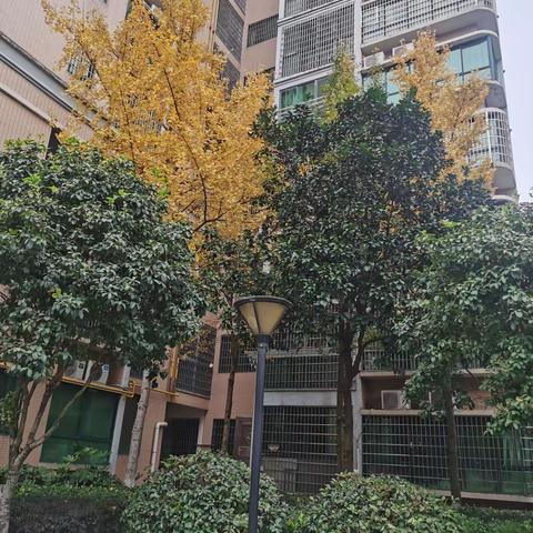 尚品物业博长金水湾11月工作简报