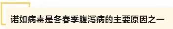 诺如病毒不可怕，防止传播最重要——西安市育才中学传染病防控知识宣传