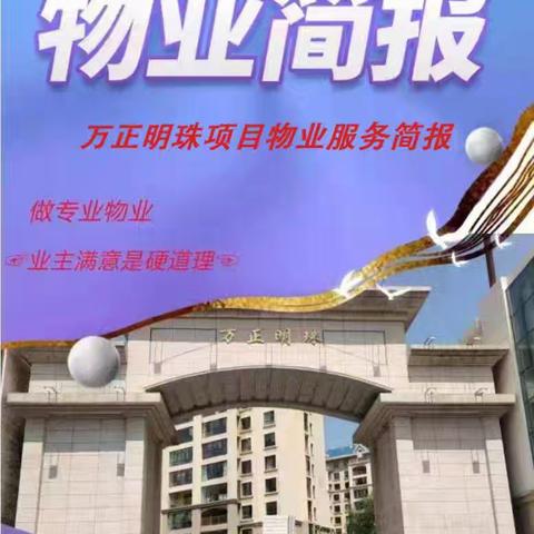 万正明珠项目部8月份简报