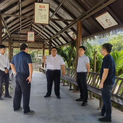 贾鹏同志到朱德亭和唐干村项目实地调研
