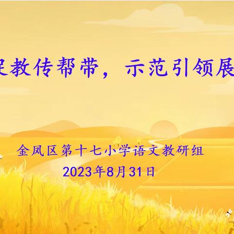 以研促教传帮带，示范引领展风采——金凤区第十七小学教研活动