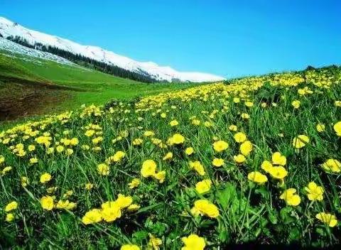 【辉腾锡勒草原+乌兰哈达火山】二日游