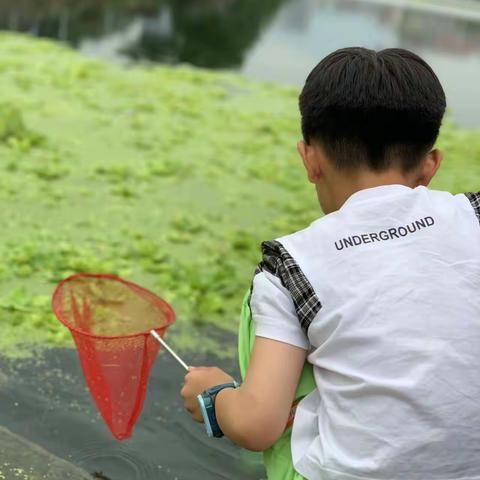 与“虾兵蟹将”相遇的夏天