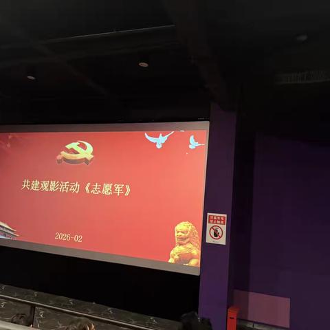 党建共建聚合力 观影铸魂守初心