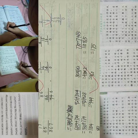 张名荷的快乐暑假