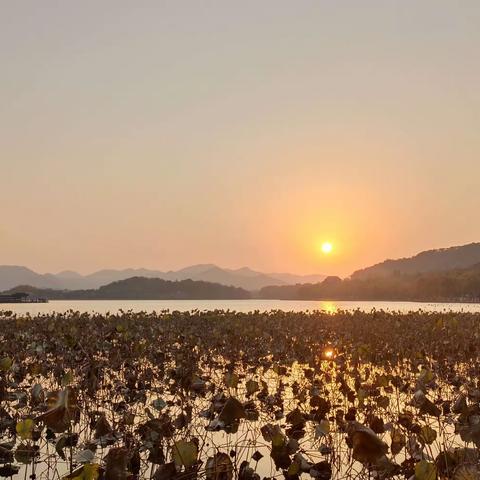 漫步西湖（2023.11.25）