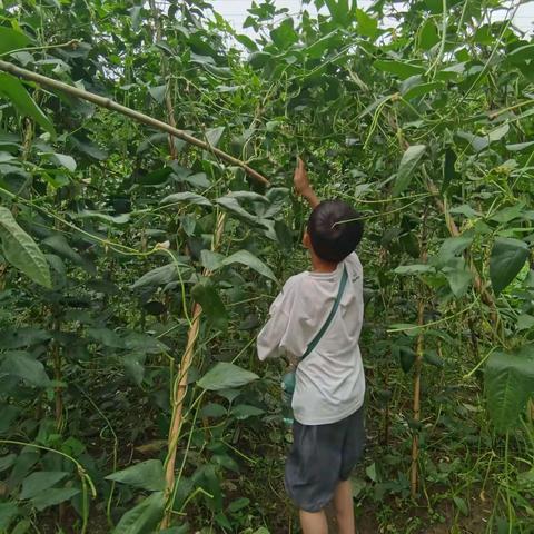 属于程涵予同学的快乐暑假