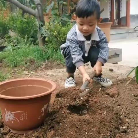 小班幼儿成长日记4