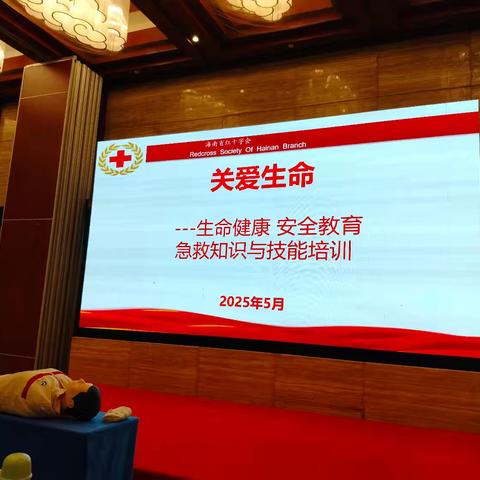 2025年海南省中小学体育教师游泳专项技能培训之急救知识与技能活动第八天纪实