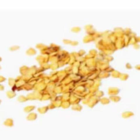 辣椒成长观察记