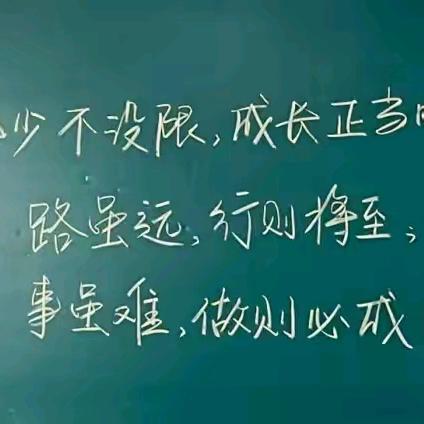 磨砺中绽放的青春之光