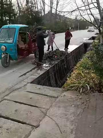 神泉村环境卫生整治成果展示