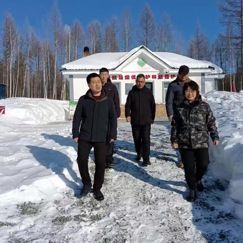 林业局党委委员、副林长、宣传部部长王海燕深入绿林林场督导检查“巡山清套”攻坚行动