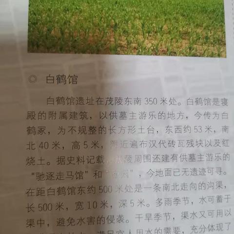 茂陵的陪葬墓以及虽然没有埋葬在此但却是不得不要提到的重要人物的墓地