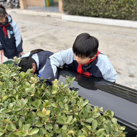 雷锋精神永流传——雷锋日主题活动