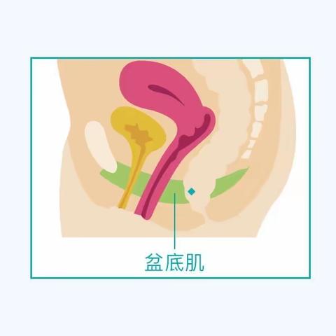咳嗽漏尿、膨出、性生活疼痛…这个检查你做了吗？
