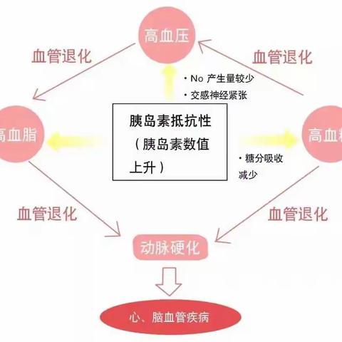 糖尿病与心血管的“患难与共”