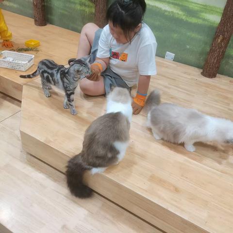 我是汉阳路一四班李沛轩，快乐的暑假