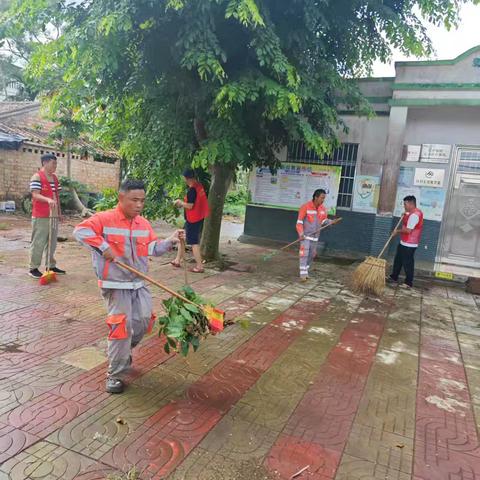 新德村开展人居环境暨爱国卫生运动