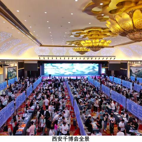 千博会三城联动 破解博士就业结构性难题