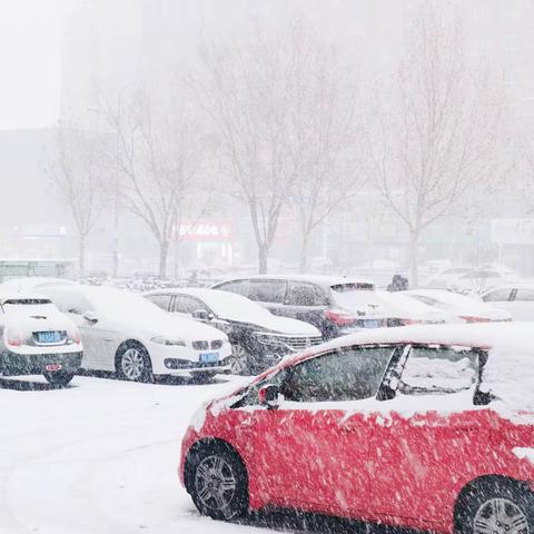 瑞雪满校园 扫雪送温暖—石家庄友谊大街小学四年级12班家长志愿者扫雪活动