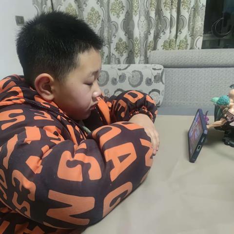 寒假实践 恩施市实验小学201班 袁绍宸