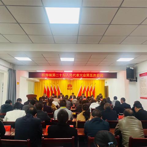 杨斜镇二十届人民代表大会五次会议胜利召开