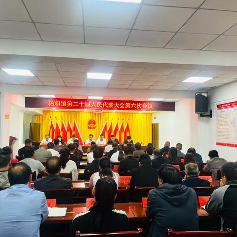 杨斜镇二十届人民代表大会六次会议胜利召开