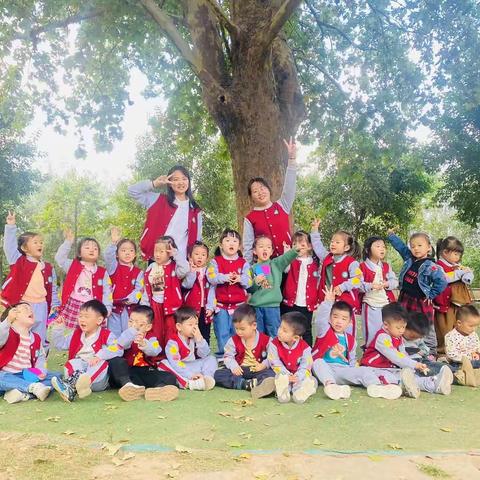 慧童幼儿园重阳节秋游活动