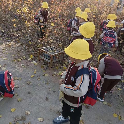 蓝天幼儿园大二班宝贝们的足迹