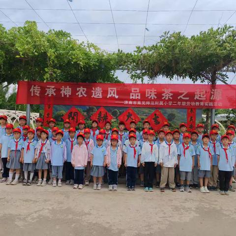 济南市莱芜师范附属小学少先队二（3）中队劳动实践活动——传承神农遗风 品味茶之起源