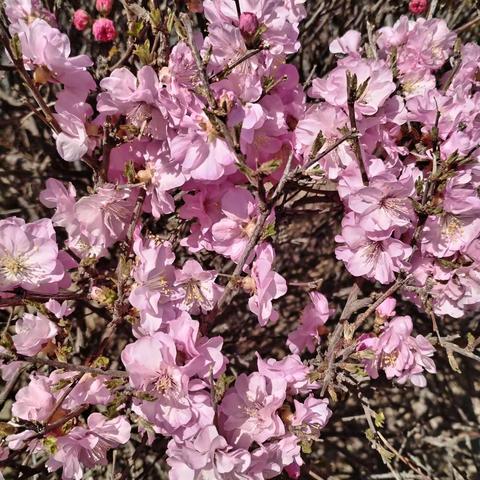 真爱一生的简篇