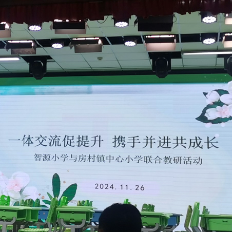 一体交流促提升 携手并进共成长﻿ ——智源小学与房村镇中心小学协同育人联合教研活动