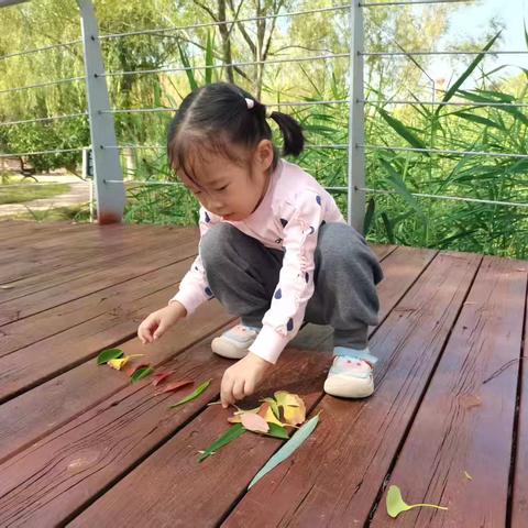 二实幼虢大三班秋分节气活动 ‍———寻味秋分