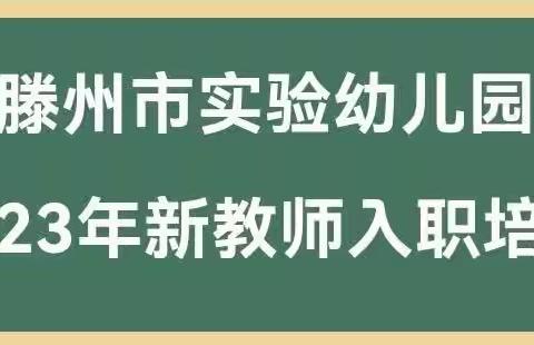 凝聚新力量，书写新篇章——滕州市实验幼儿园2023年新教师入职培训（三）