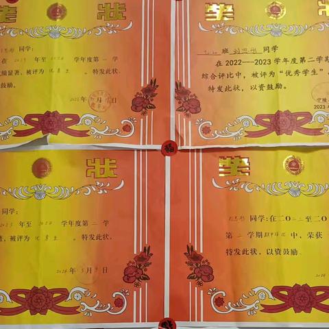 星光灿烂的女孩 ——九5刘思彤