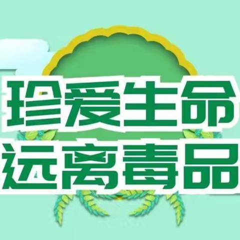 禁毒知识进校园，争做禁毒小少年 民族小学禁毒专题教育