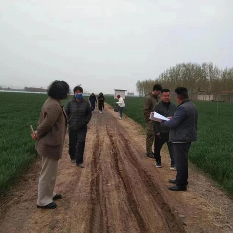 刁镇街道农业农村综合服务中心一周工作简讯