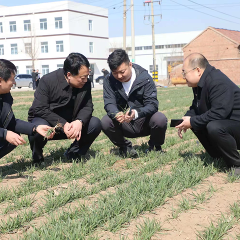 刁镇街道农业综合服务中心一周工作简讯