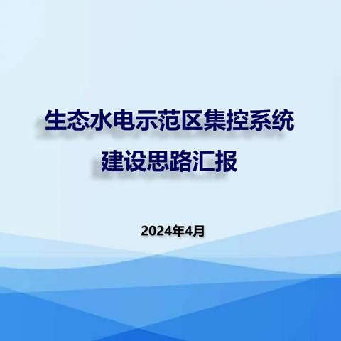 武义县水务局组织召开高质量生态水电示范区（一期）建设工程初步方案交流会