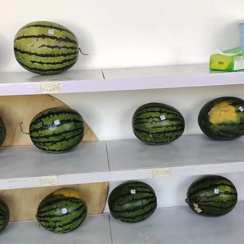 西瓜真甜啊🍉 ——太平寨镇龙辛庄学区