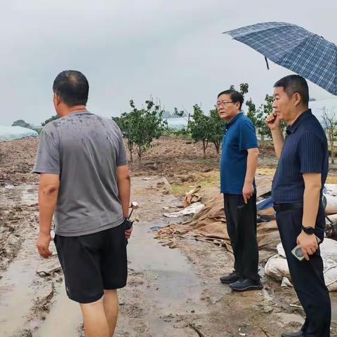 防汛抢险 | 以身作则 冲锋在前 暴雨之中显担当