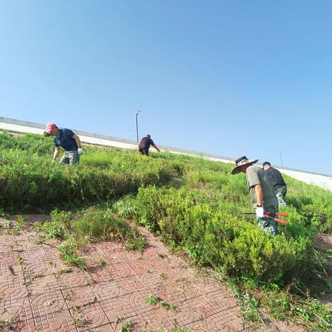 沟水坡水库灌区保障所一周工作动态（8.26--9.1）