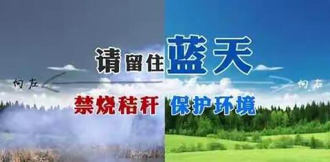 职田镇多举措织密生物质禁燃“防火网” 全力打好禁烧秸秆攻坚战